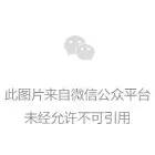 智网英语