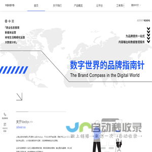 业询科技